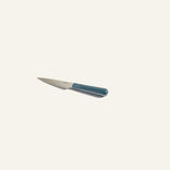 A small kitchen knife with a blue handle and a stainless steel blade, placed on a plain white background.