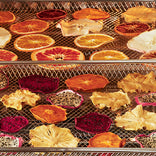 Slices of various dried fruits, including citrus, pineapple, dragon fruit, and persimmon, arranged on two metal wire dehydrator trays.