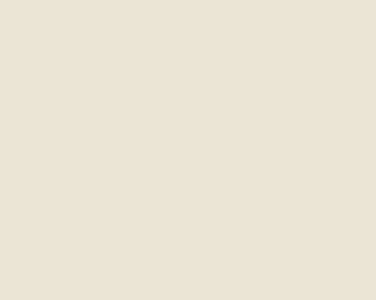 A plain, solid light beige background with no visible objects, text, or patterns.
